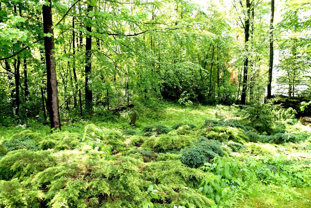 Domek Drewniany Tetmajera Centrum Zakopane Esterno foto